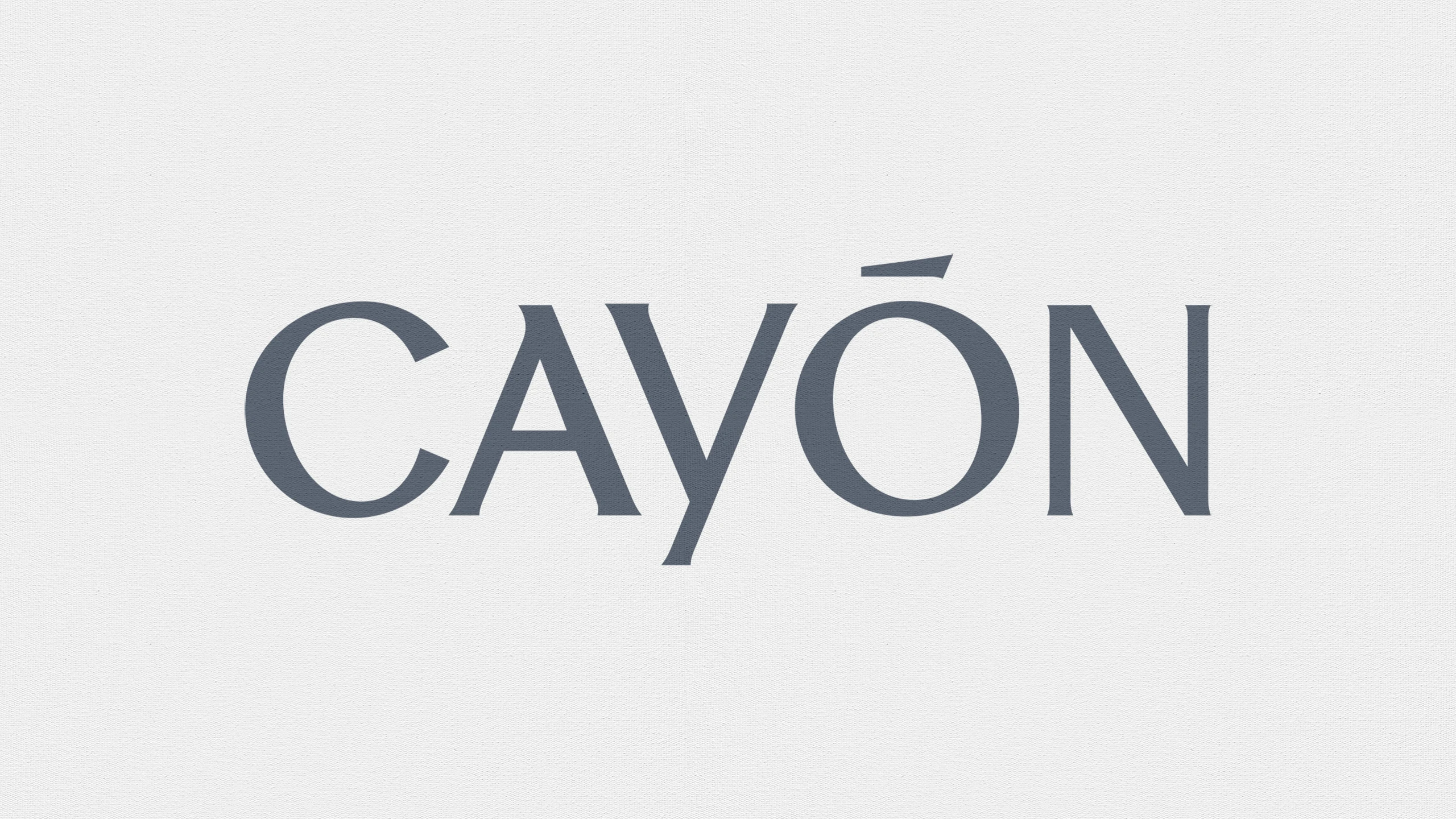 CAYON GALLERY 01